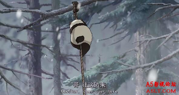 大熊猫传奇百度网盘下载,