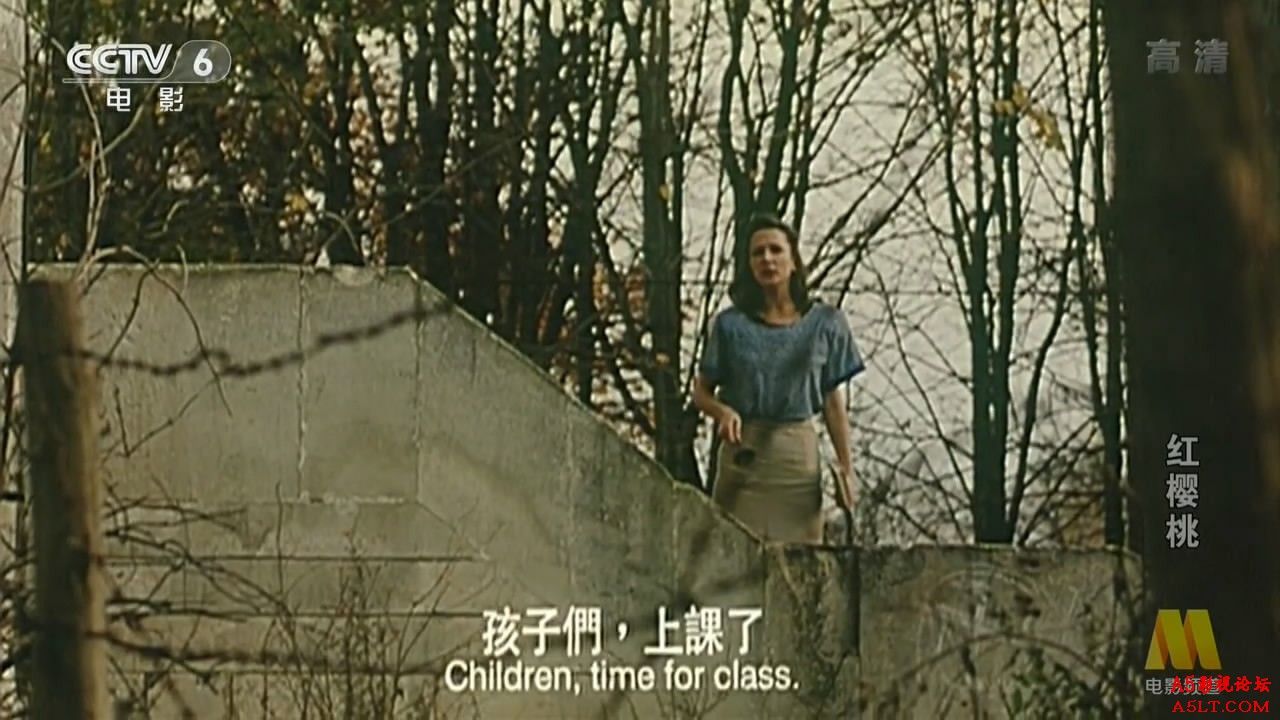 红樱桃百度网盘下载
