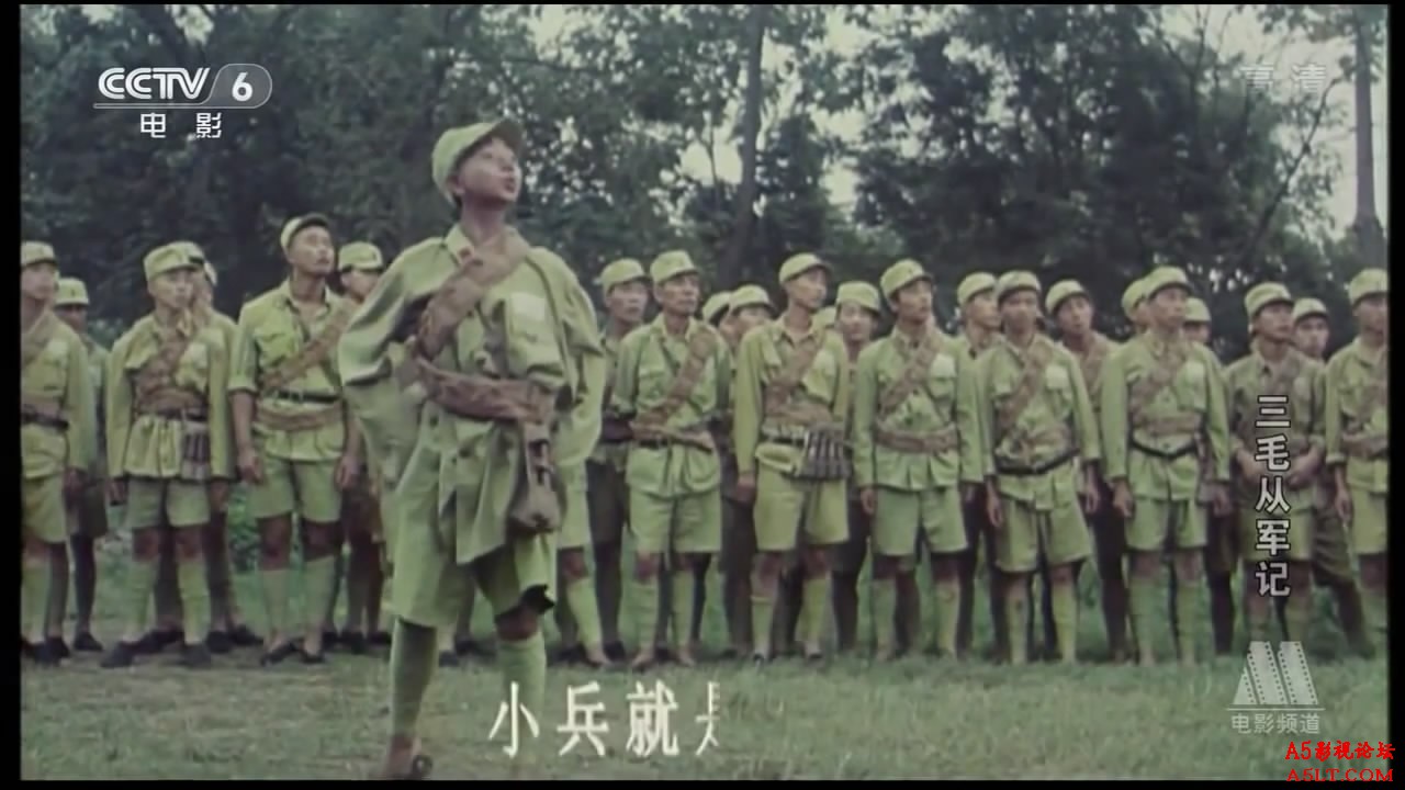 三毛从军记百度网盘下载
