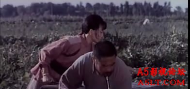 瓜棚女杰百度网盘下载