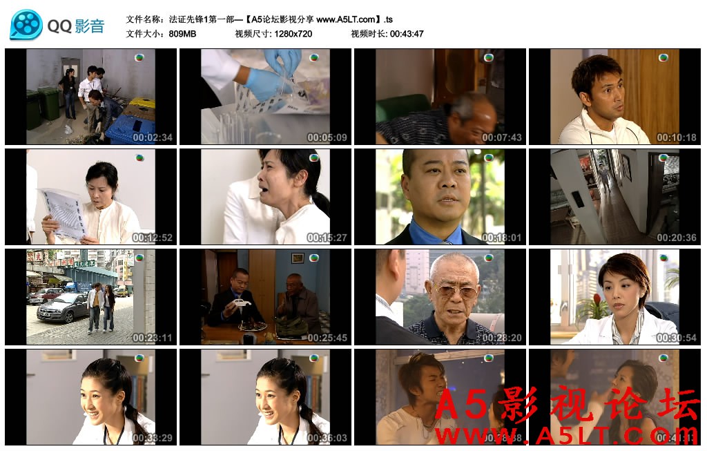 法证先锋下载