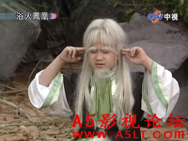 浴火凤凰百度网盘下载