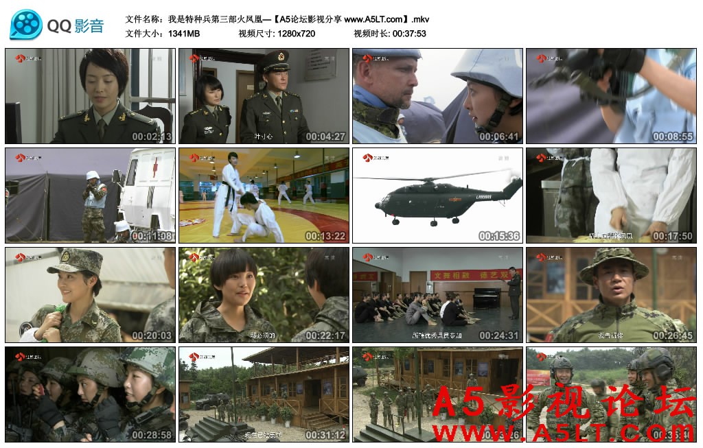 我是特种兵3之火凤凰迅雷资源下载