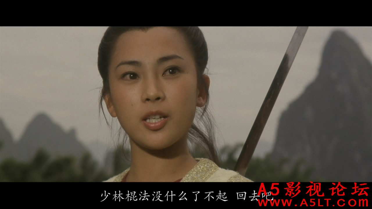 少林小子迅雷资源下载