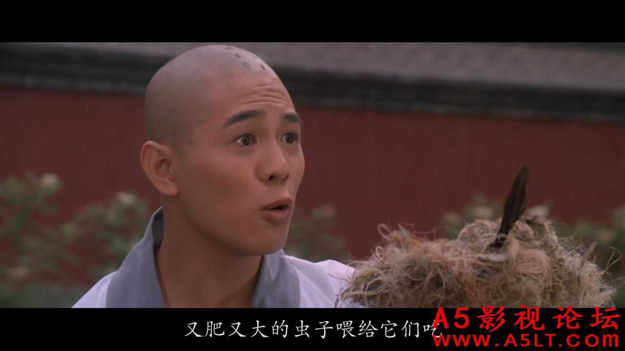 少林寺3南北少林百度网盘下载
