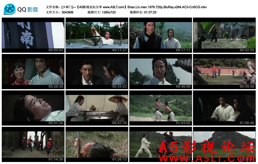少林门百度网盘下载