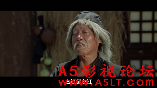 醉拳1迅雷资源下载
