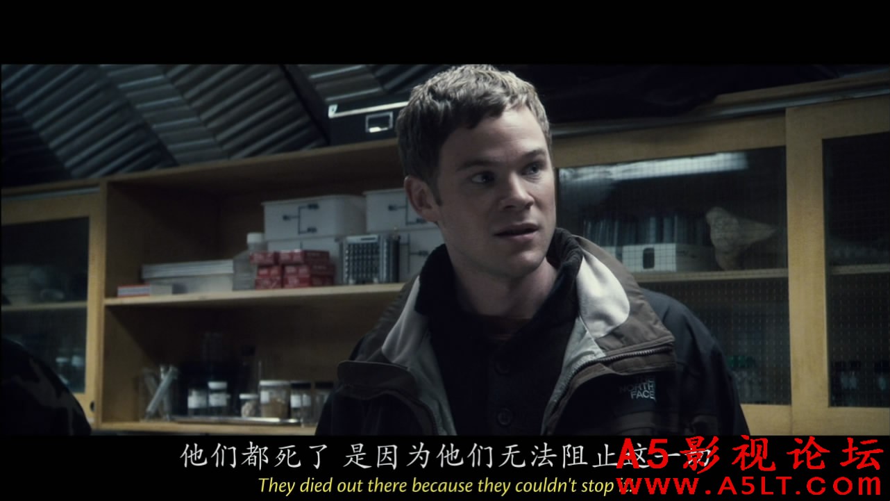 解冻迅雷资源下载