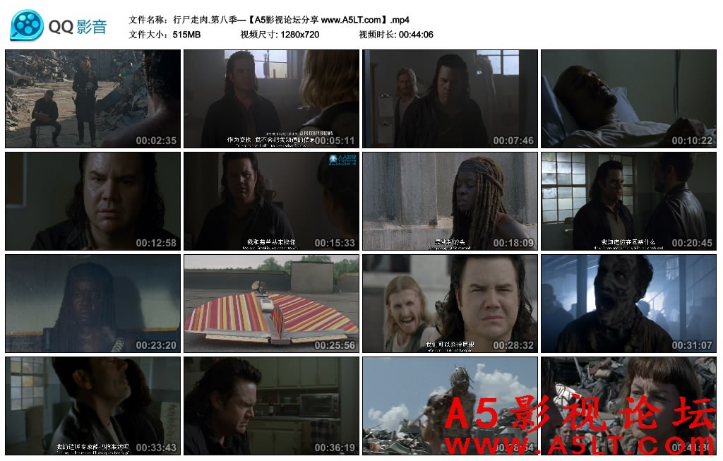 行尸走肉第八季百度网盘下载