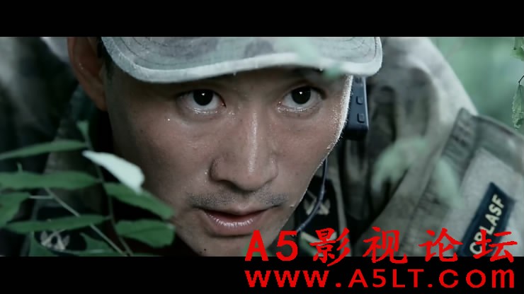 战狼迅雷资源下载