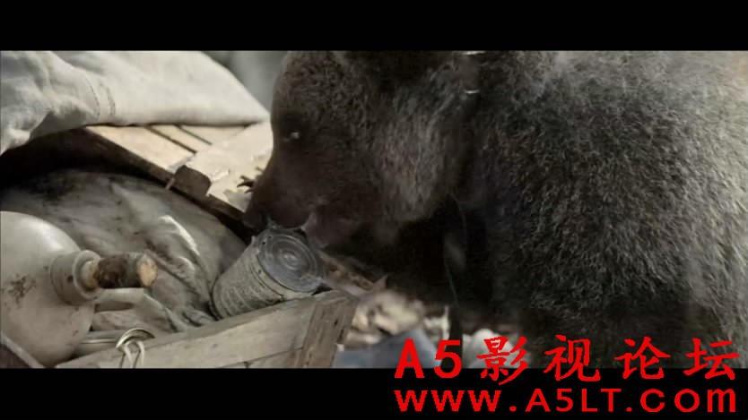 熊的故事迅雷资源下载