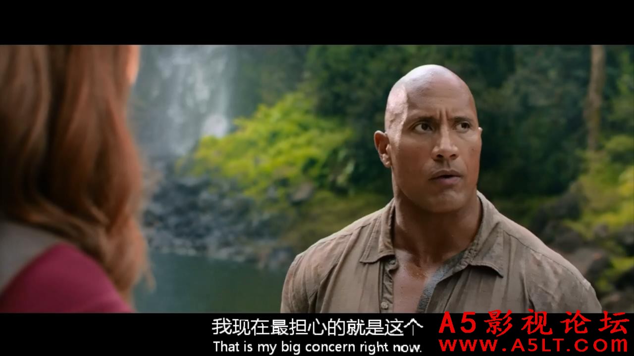 勇敢者游戏：决战丛林.jumanji.welcome.to.the.jungle.2017.720p.BluRay.x264.AC3.中.jpg