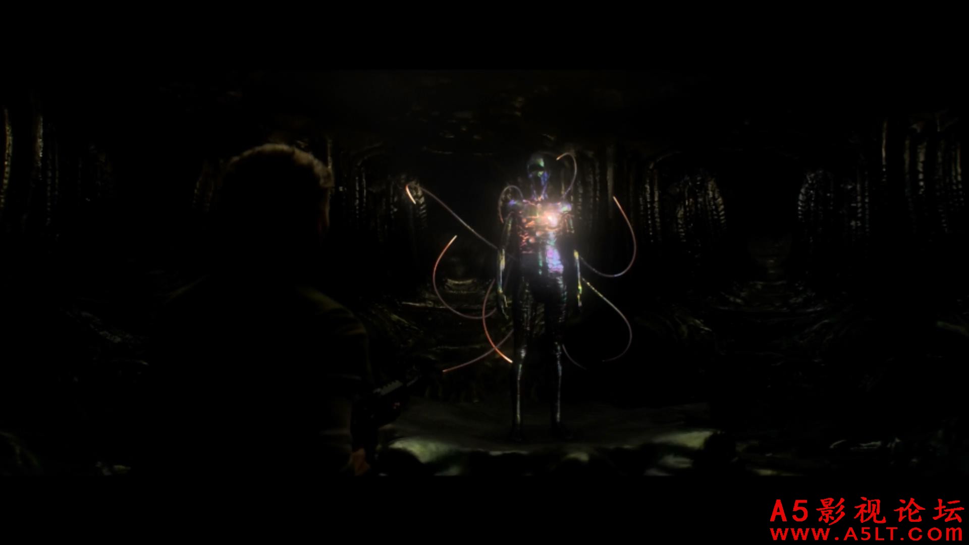 Annihilation.2018.1080p.NF.WEB-DL.DD5.1.x264-NTG_20180312211406.JPG