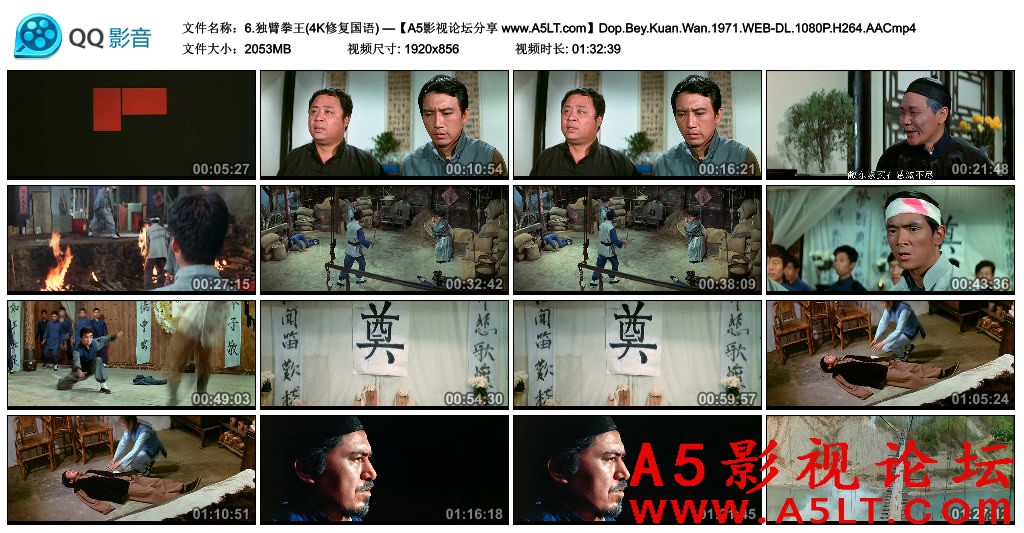 独臂拳王百度网盘下载