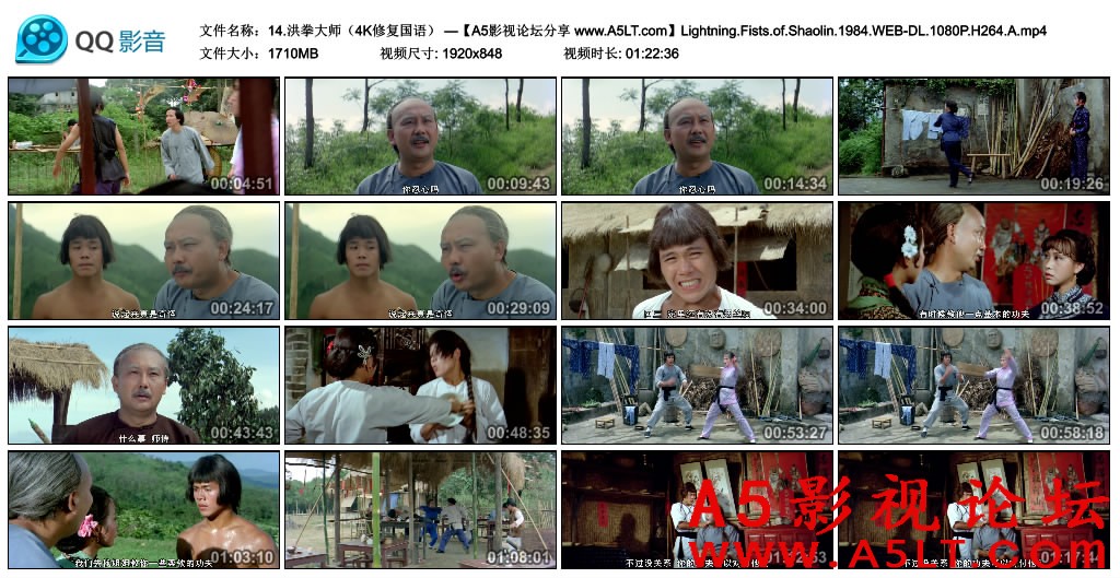 洪拳大师百度网盘下载