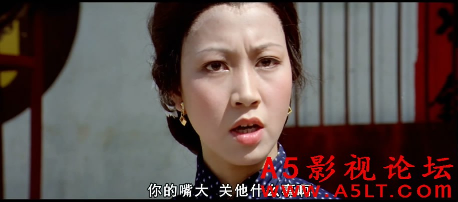 洪拳大师百度网盘下载