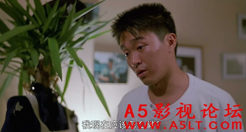 霹雳先锋百度网盘下载