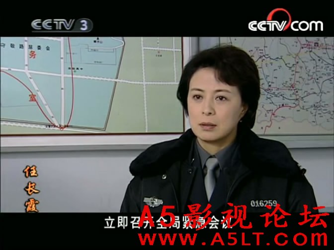 任长霞百度网盘下载