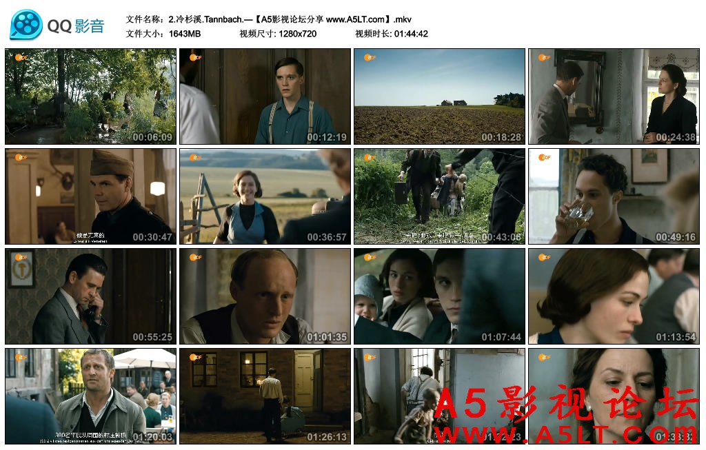 冷杉溪百度网盘下载