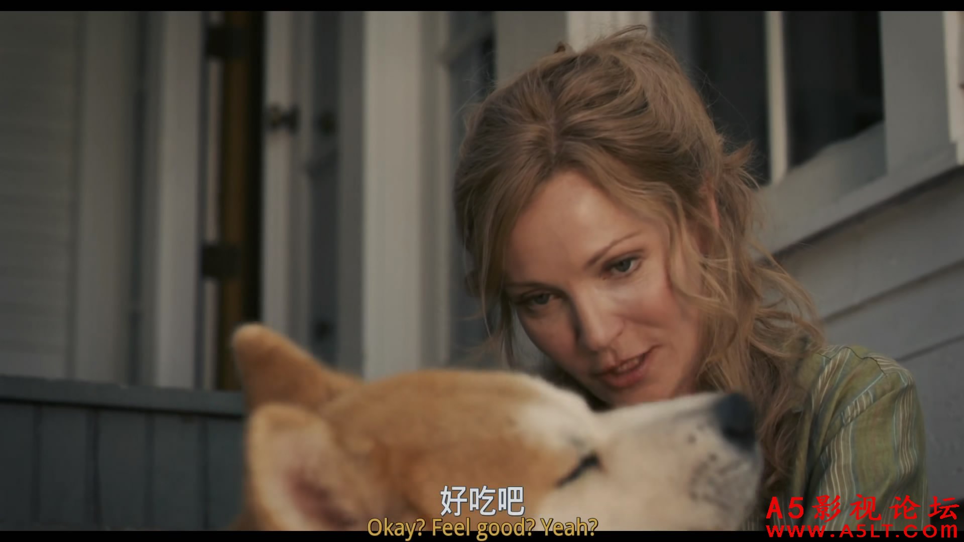忠犬八公的故事百度网盘下载