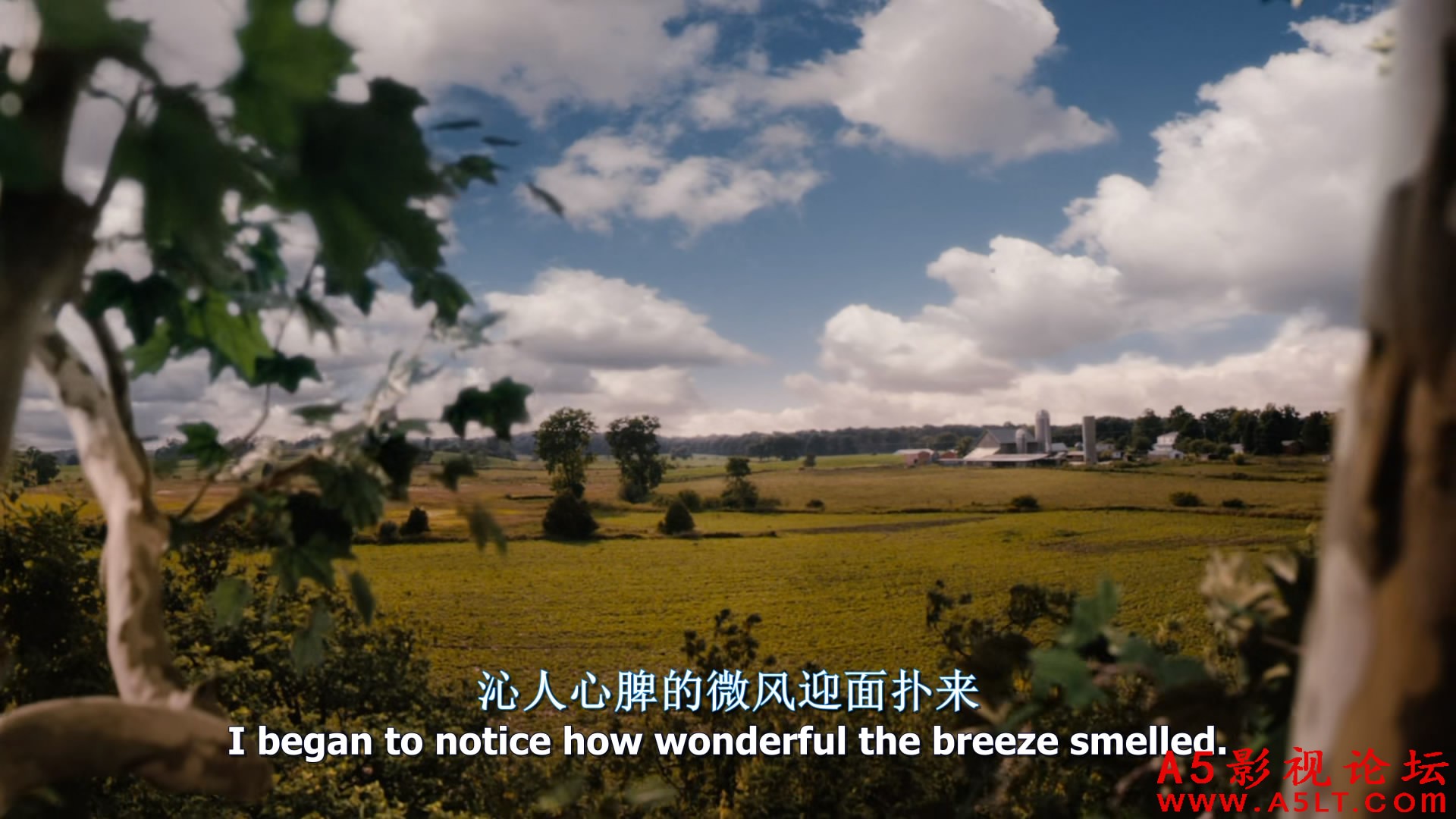 怦然心动百度网盘下载