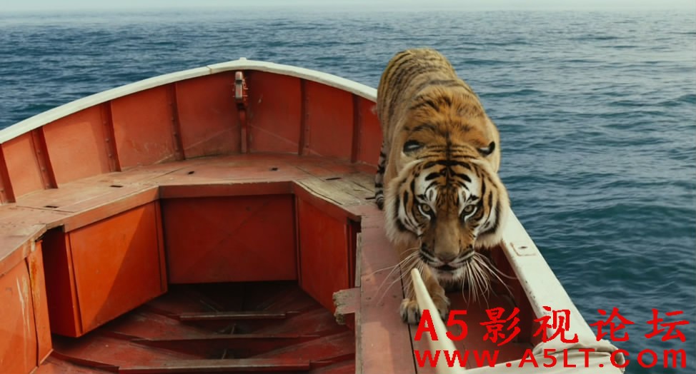 少年派的奇幻迅雷资源下载