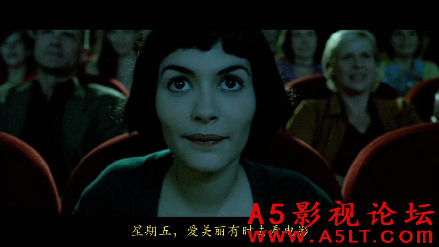 天使爱美丽百度网盘下载