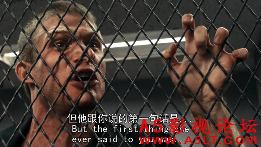 蝴蝶效应迅雷资源下载