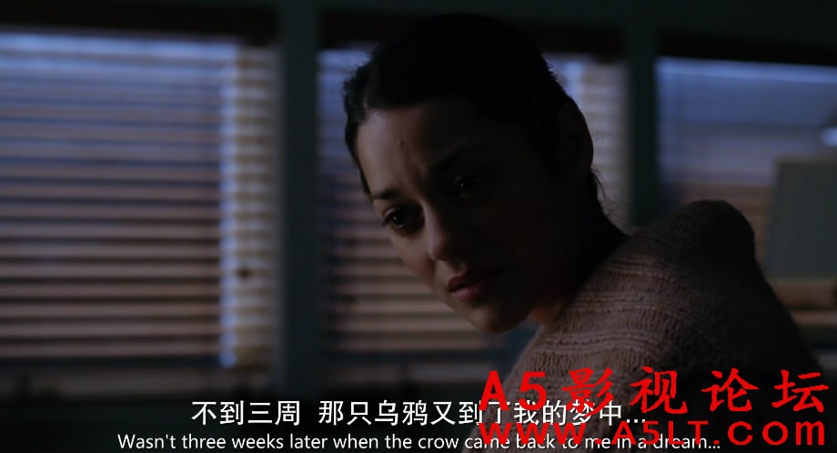 大鱼百度网盘下载