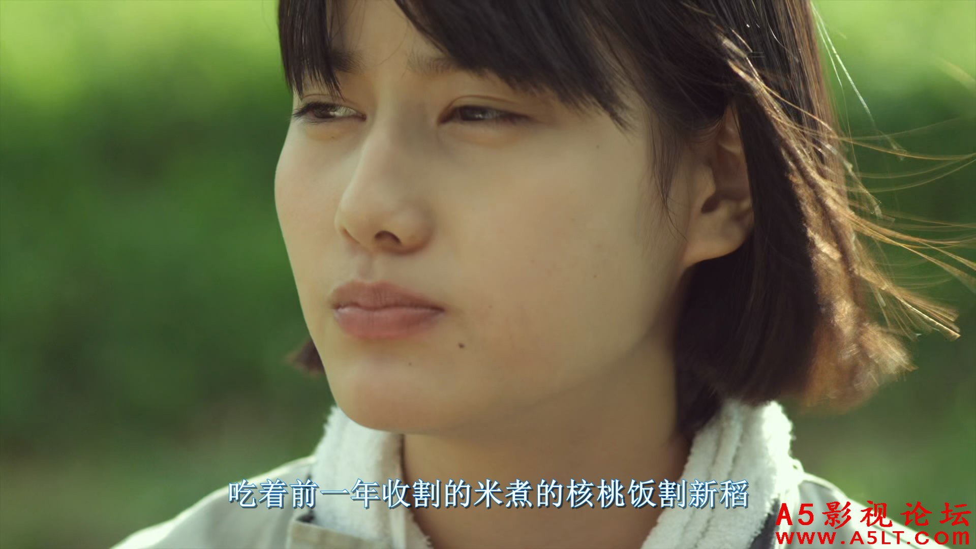 小森林夏秋篇百度网盘下载