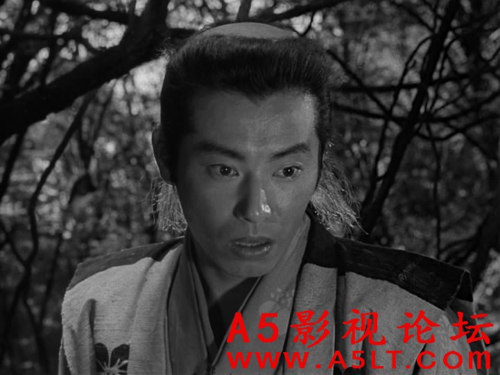 七武士迅雷资源下载