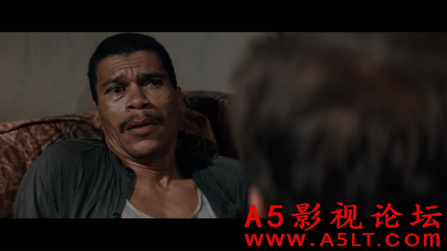 完美的世界百度云网盘下载