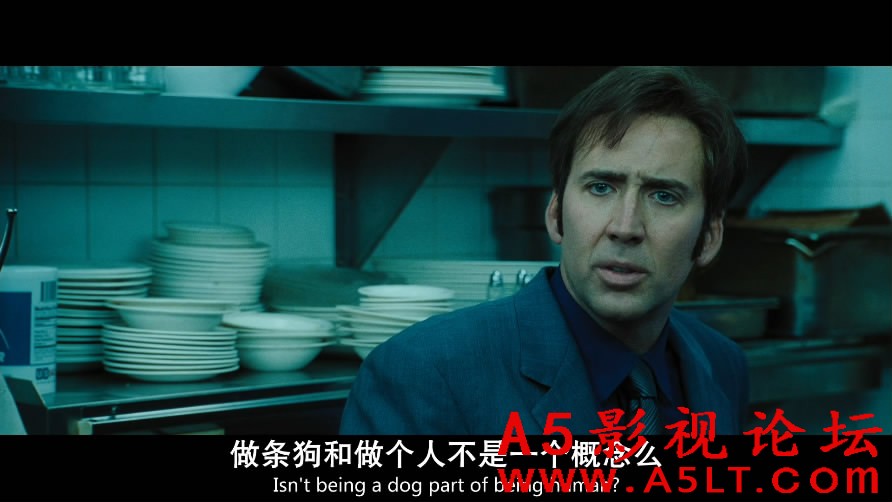 战争之王百度云网盘下载