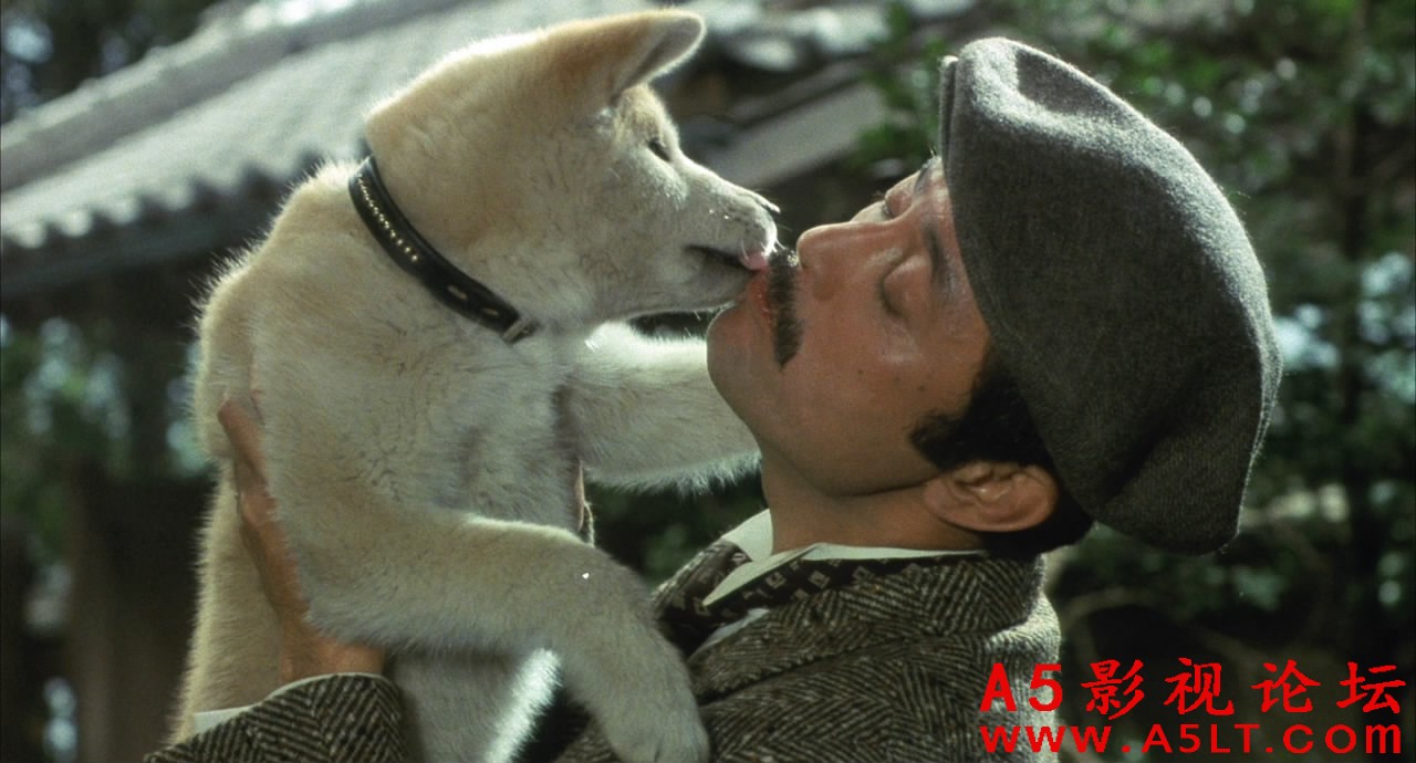 忠犬八公物语百度云网盘下载