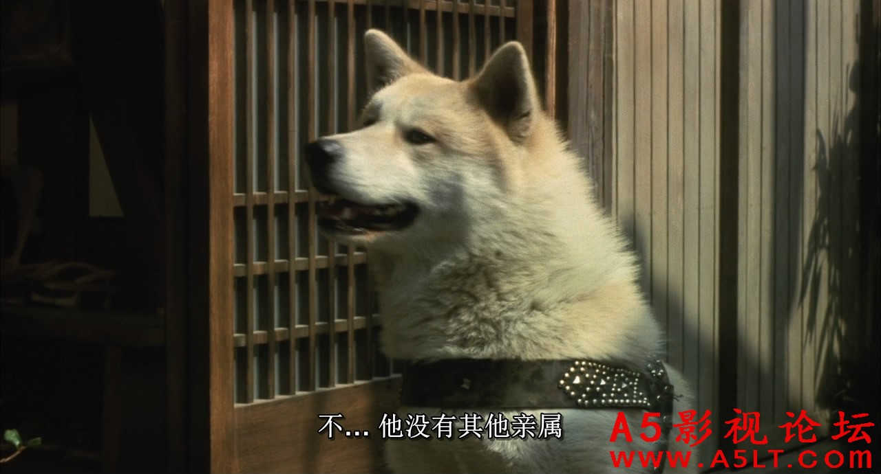 忠犬八公物语百度云网盘下载