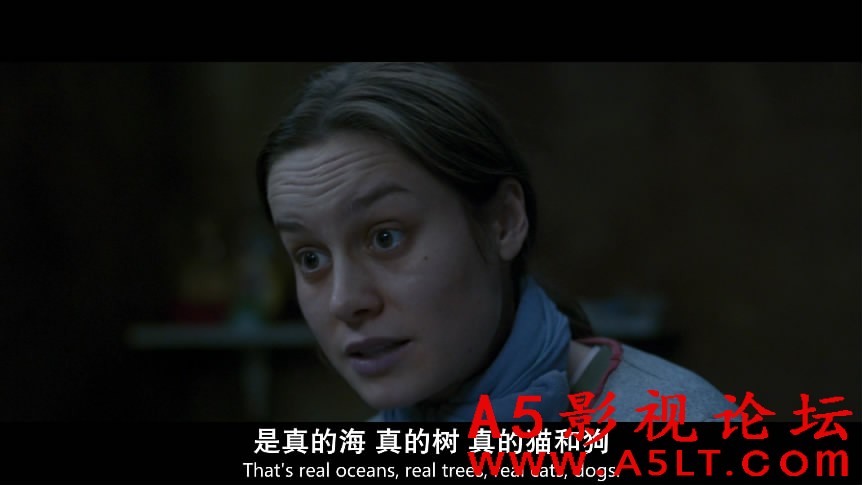 房间百度云网盘下载