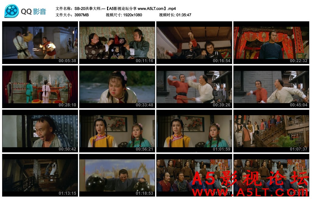洪拳大师迅雷下载