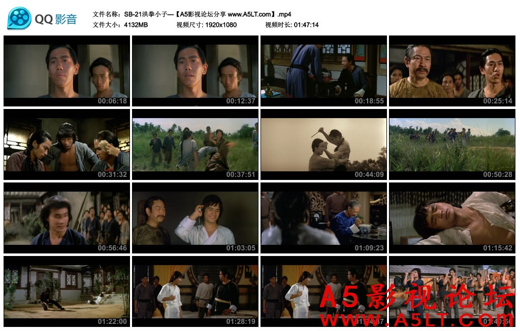 洪拳小子百度云网盘下载
