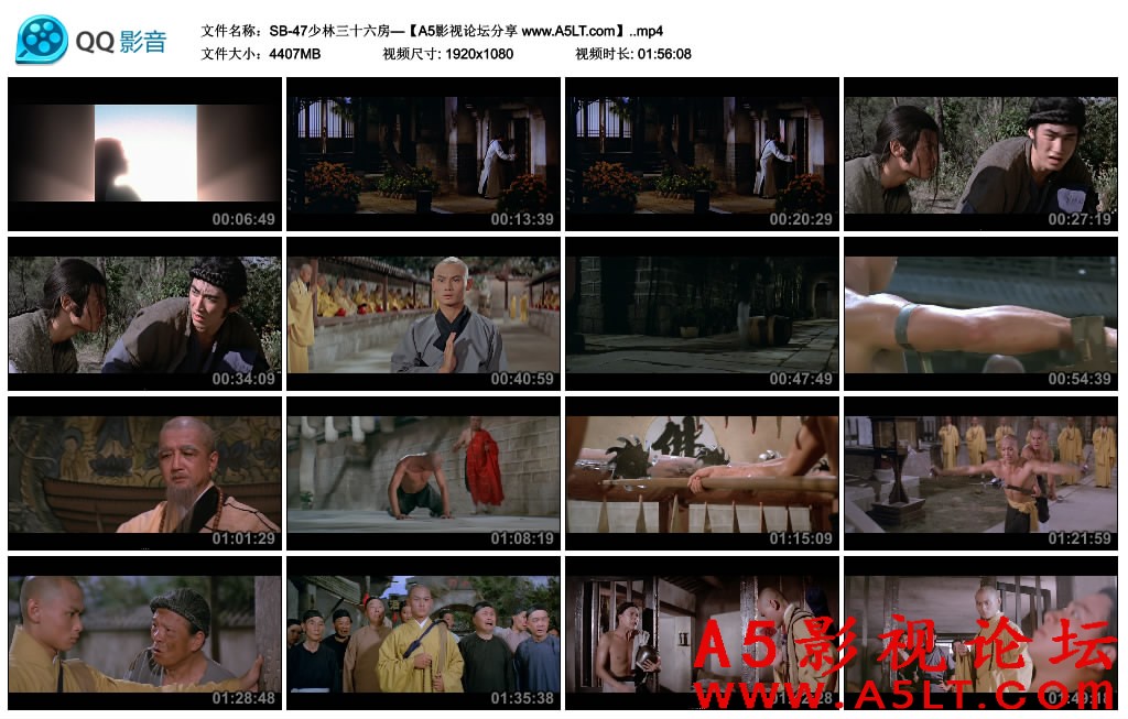 少林三十六房迅雷下载