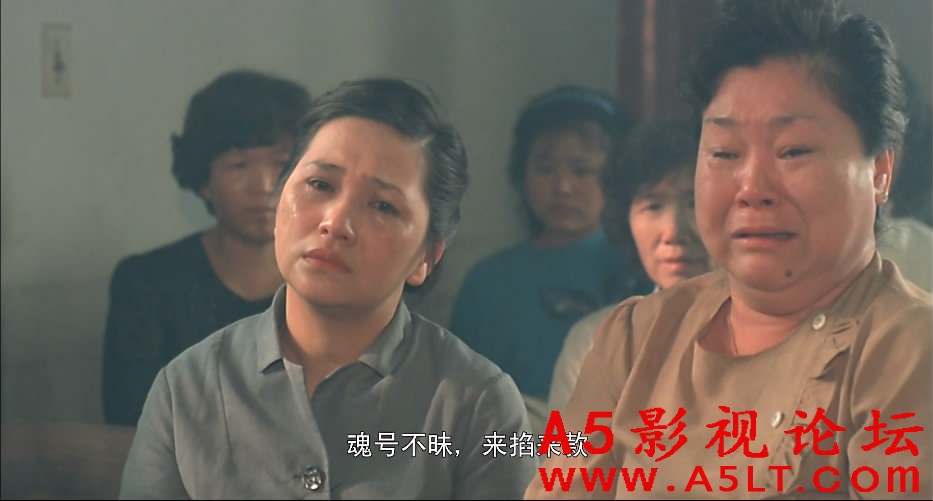 搭错车下载