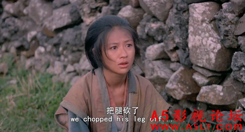 马入林迅雷下载