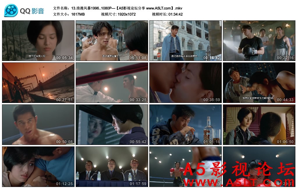 浪漫风暴百度云网盘下载,