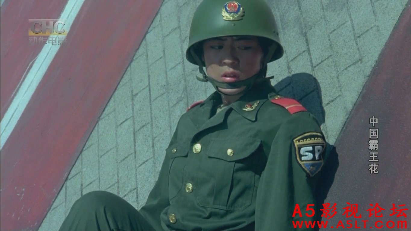 中国霸王花百度云网盘下载