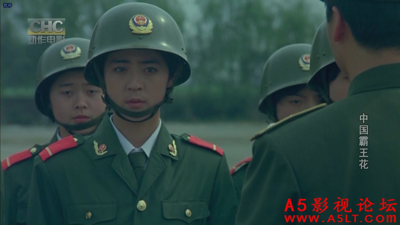 中国霸王花迅雷下载