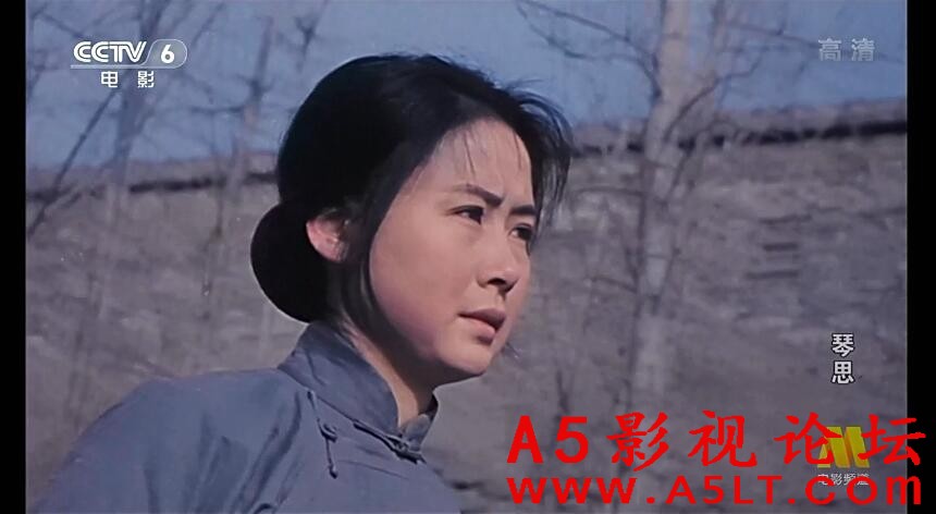 琴思百度云网盘下载