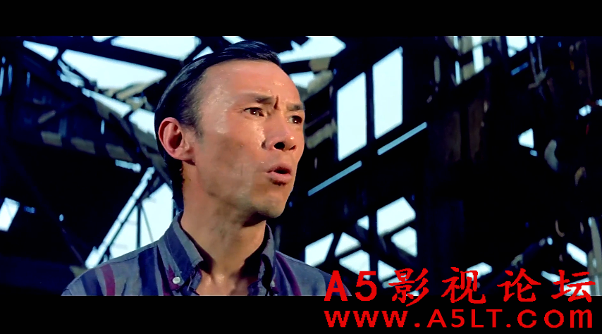 虎胆追魂百度云网盘下载