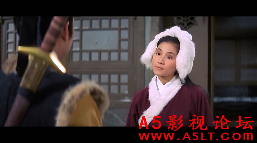 影子神鞭迅雷下载