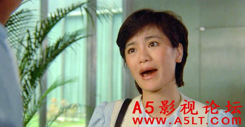 光阴的故事百度云网盘下载