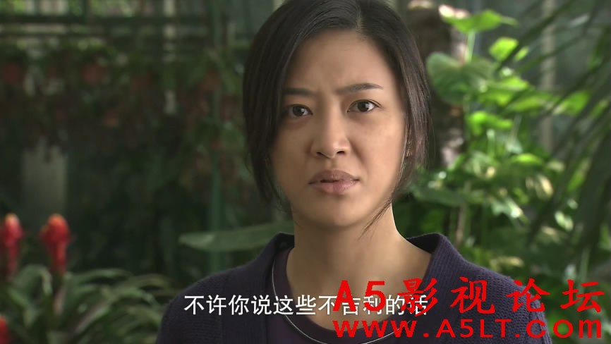 纯真的年代迅雷下载