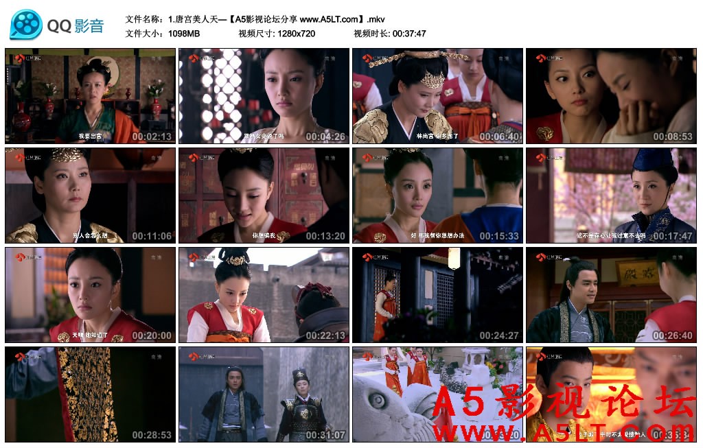 ,唐宫美人天下迅雷下载